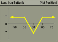 Long Iron Butterfly Strategy Net Position Graph Long Iron Butterfly Strategy Net Position Graph
