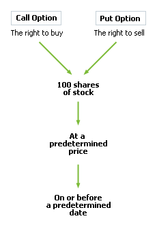Leaps Chart